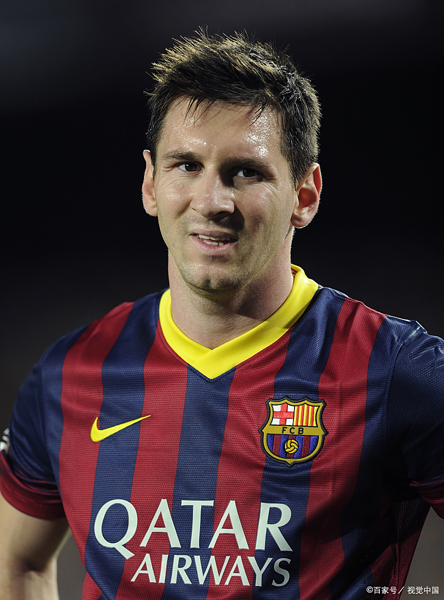 作者的贡献 作者的贡献